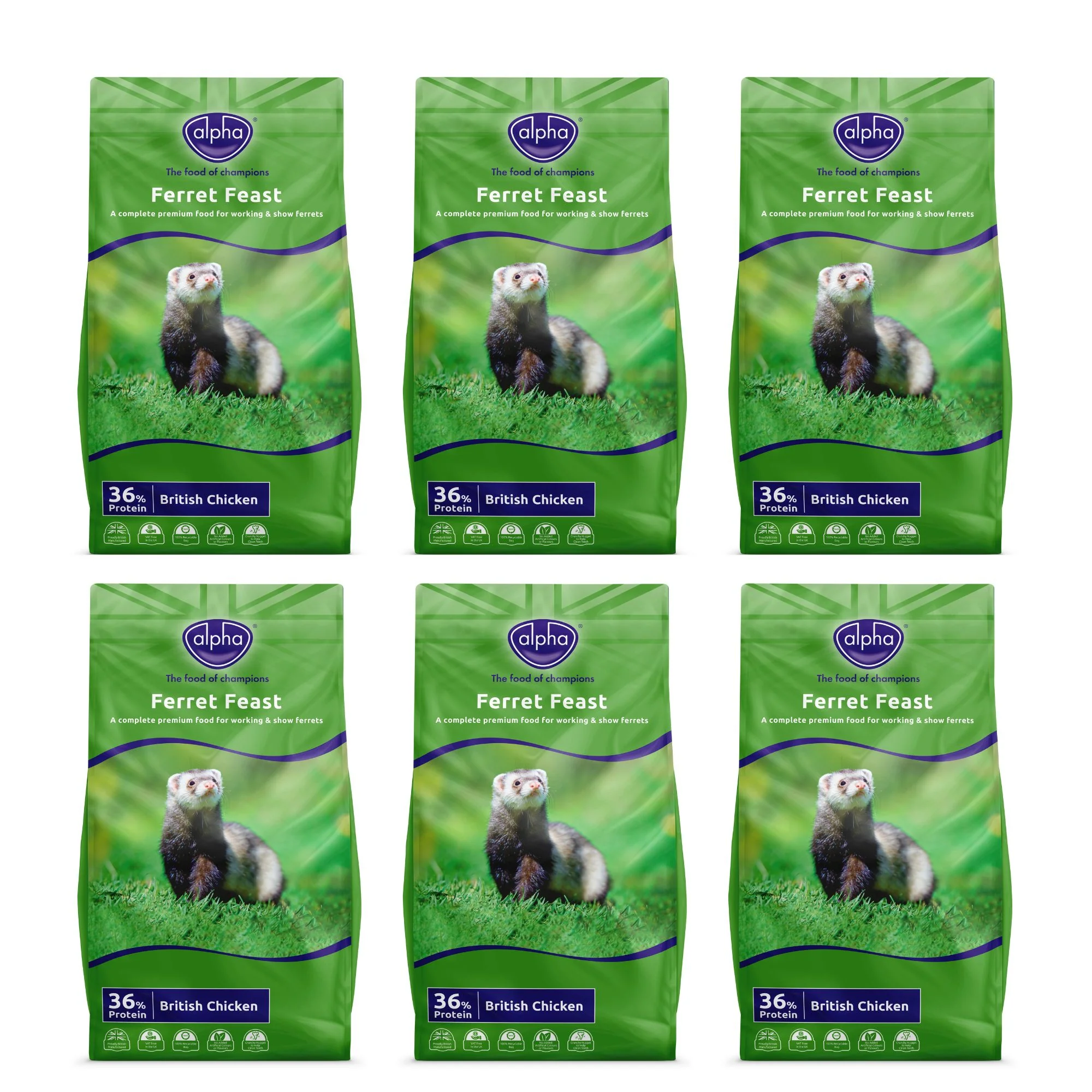 Alpha Ferret Feast Ferret Food 15kg (6 x 2.5kg)