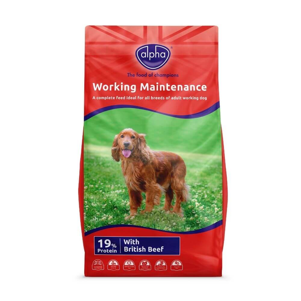 Alpha Worker Maintenance Dog Food with Beef 15kg - Image 3