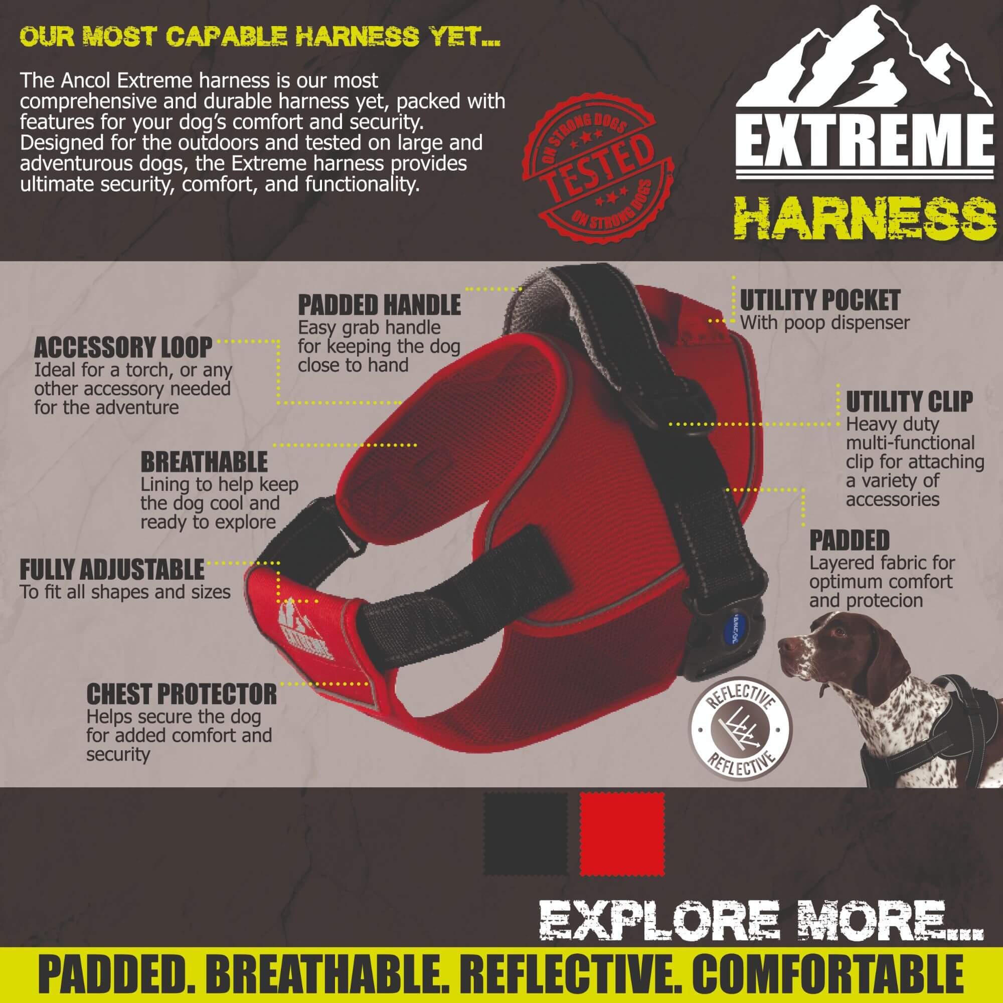 Ancol Extreme Padded Dog Harness with Handle - Image 4