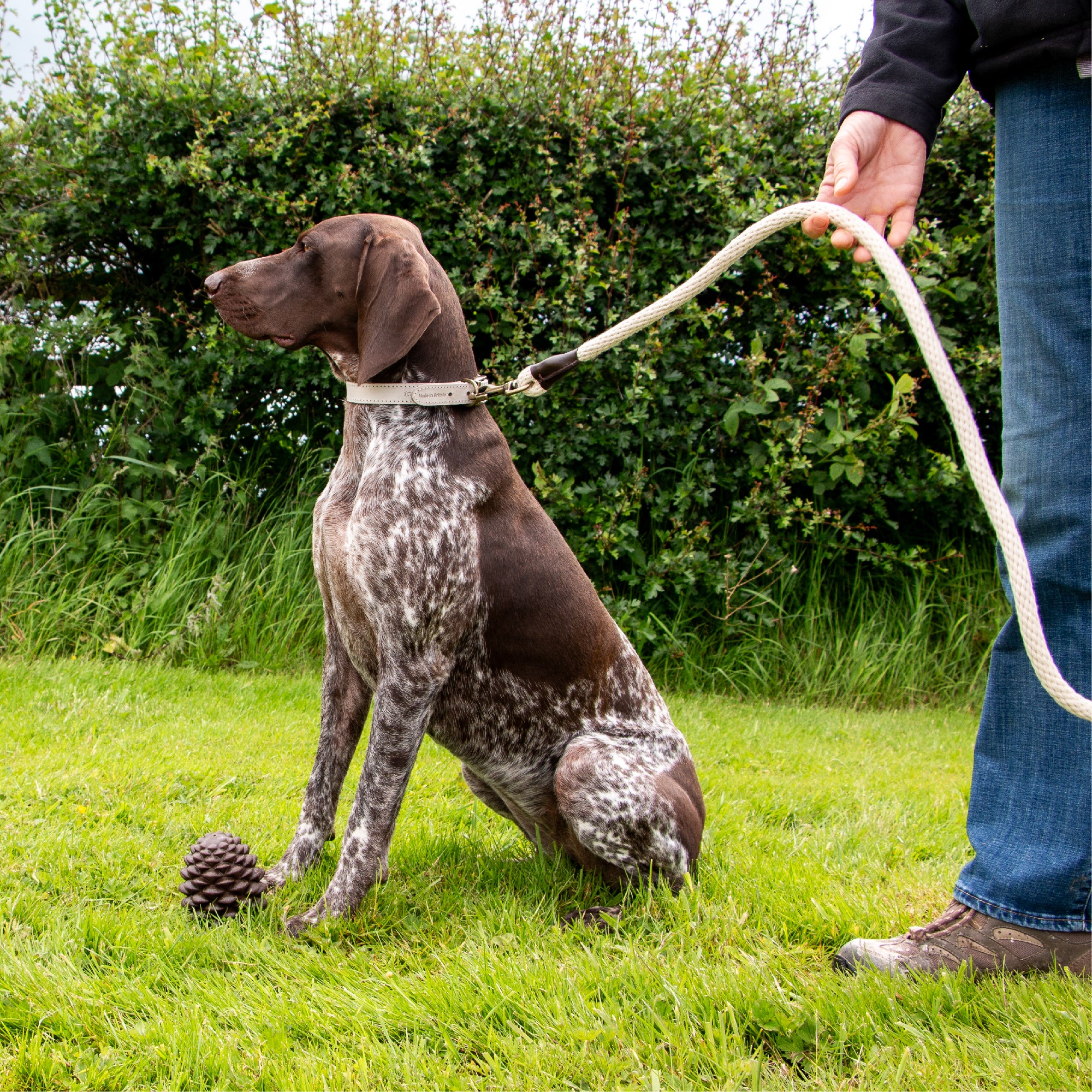 Ancol Heritage Collection Cotton Rope Dog Lead Natural 15mm x 1.5m - Image 2