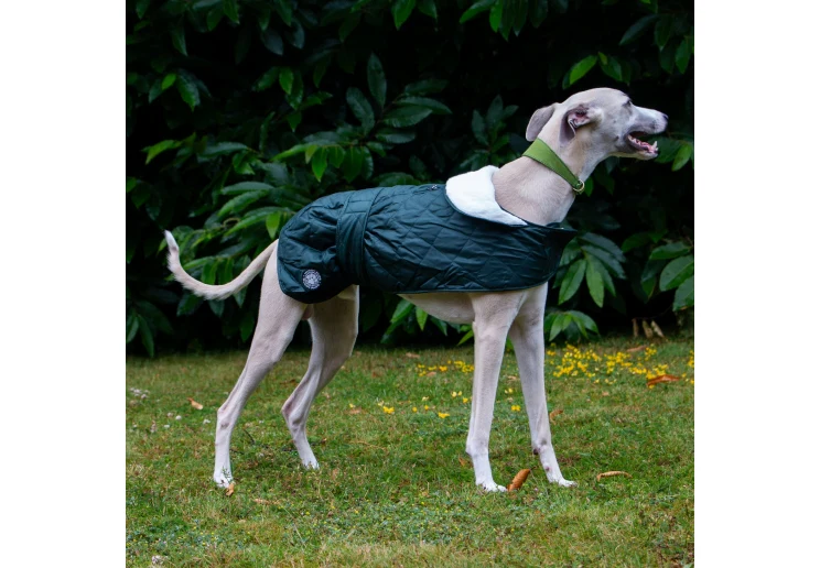 Ancol Muddy Paws Quilted Green Hound Coat - Image 2