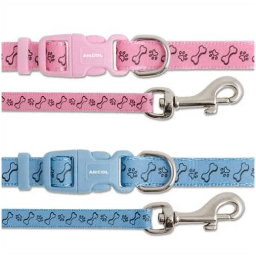 Ancol Small Bite Paw n Bone Collar & Lead Set