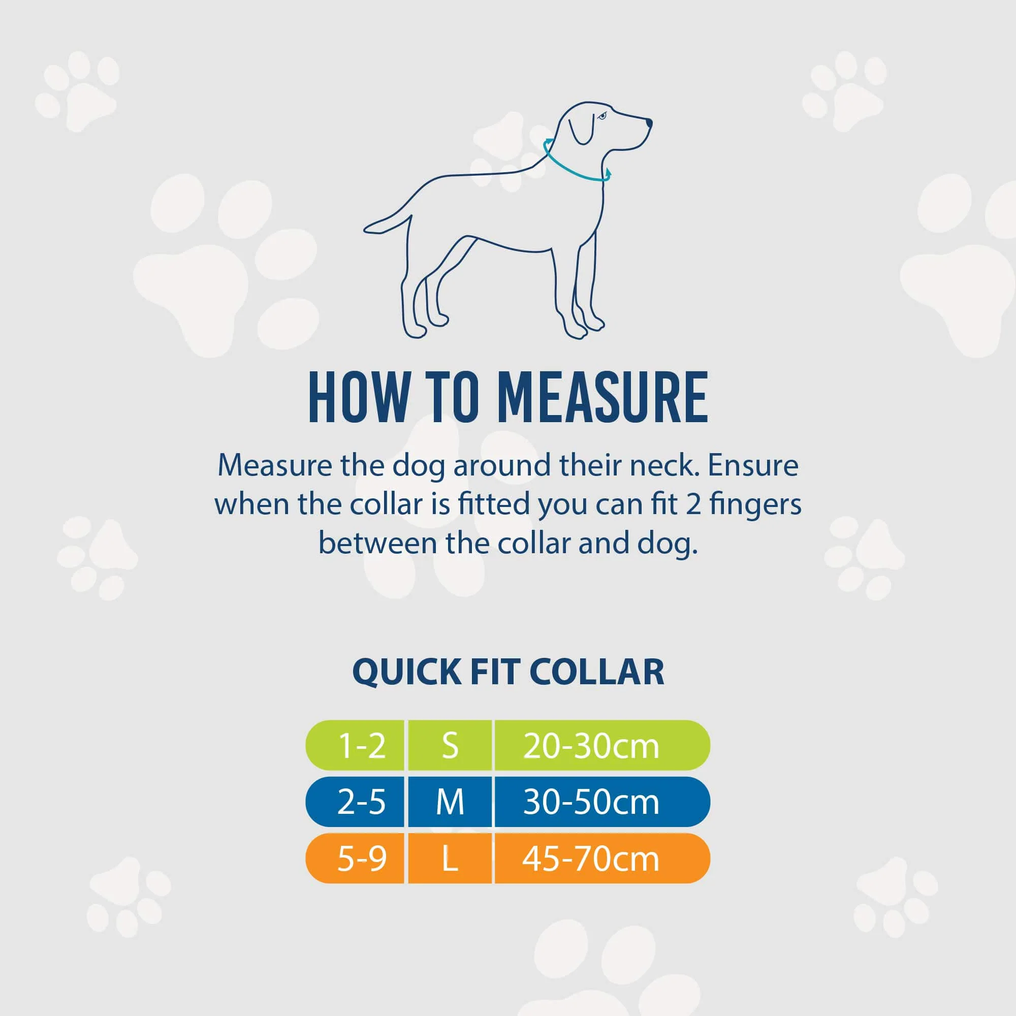 Ancol Soho Maple Leaf Adjustable Dog Collar - Image 4