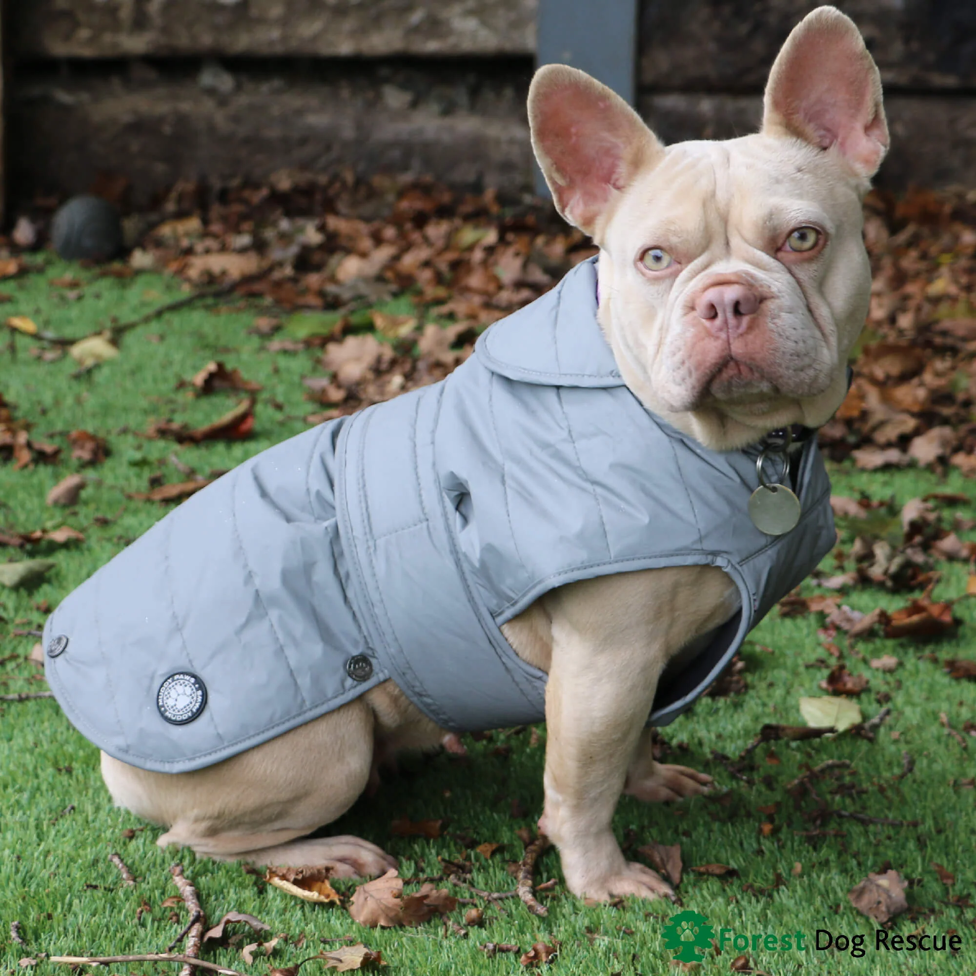 Ancol Stormguard Ultimate Reflective Dog Coat - Image 2
