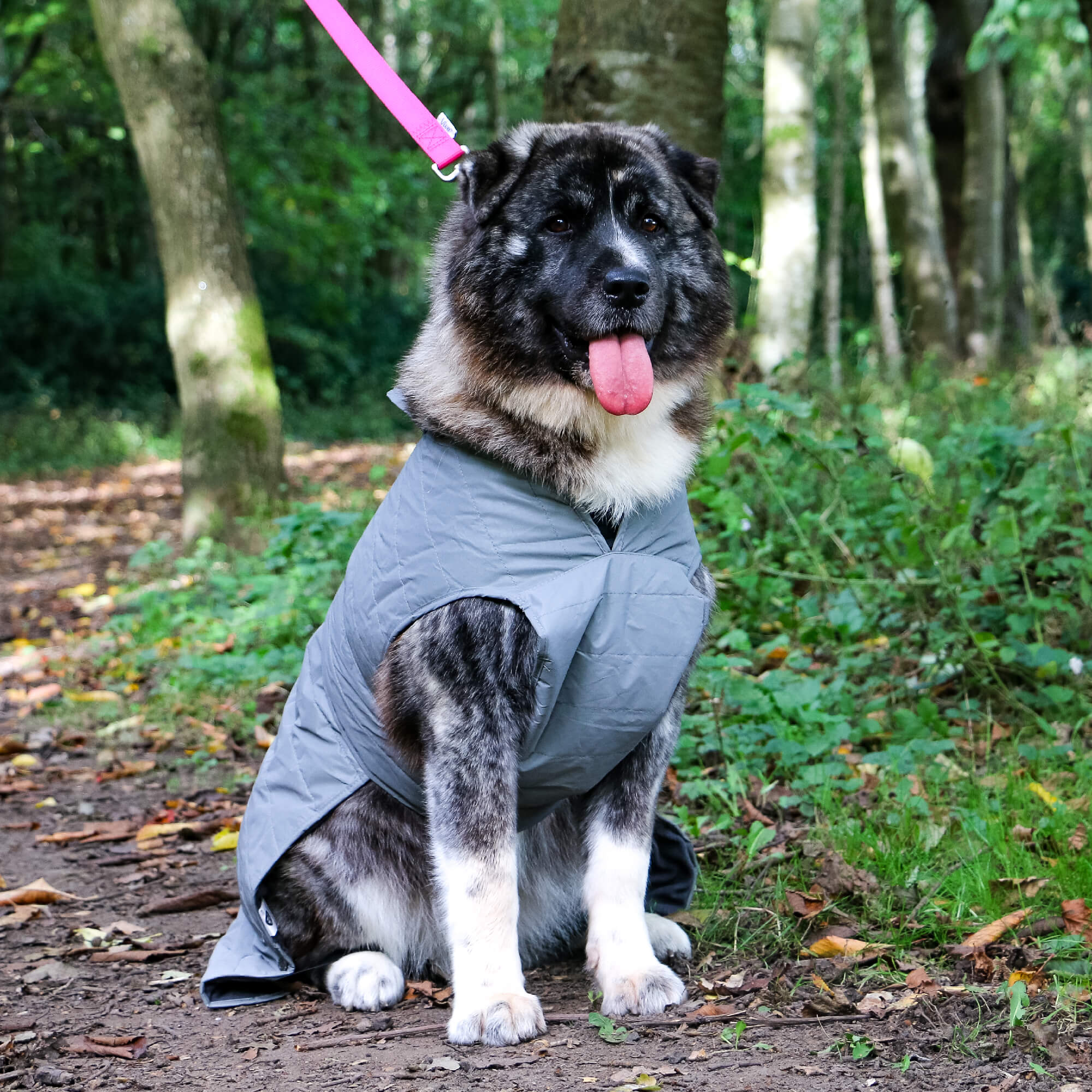 Ancol Stormguard Ultimate Reflective Dog Coat - Image 4