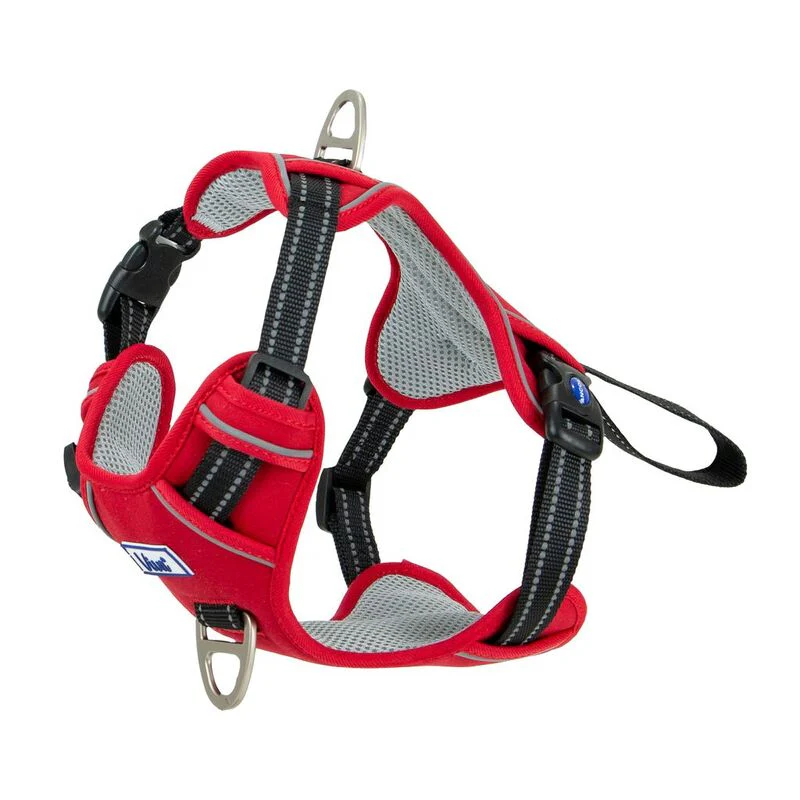 Ancol Viva Exercise & Travel Dog Harness - Image 2