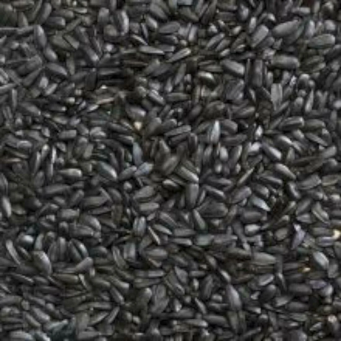 Bucktons Black Sunflower Seeds - Image 2