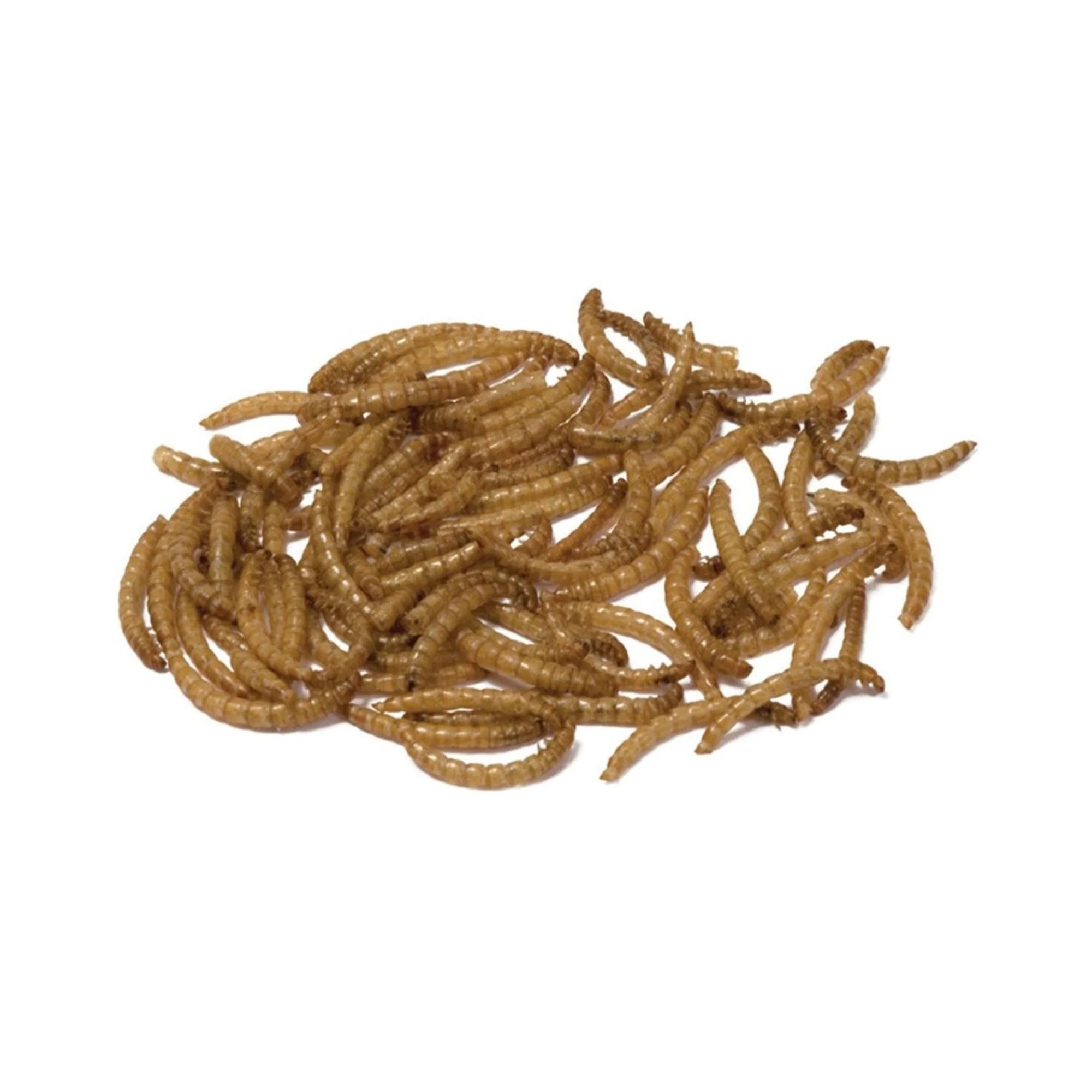 Bucktons Premium Dried Mealworms 12.55kg