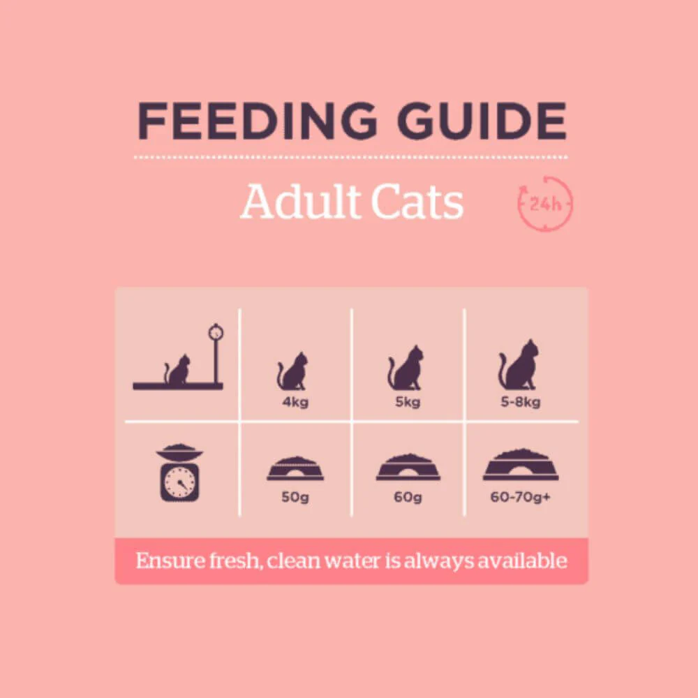 Burgess Adult Rich in Scottish Salmon Dry Cat Food - Image 3