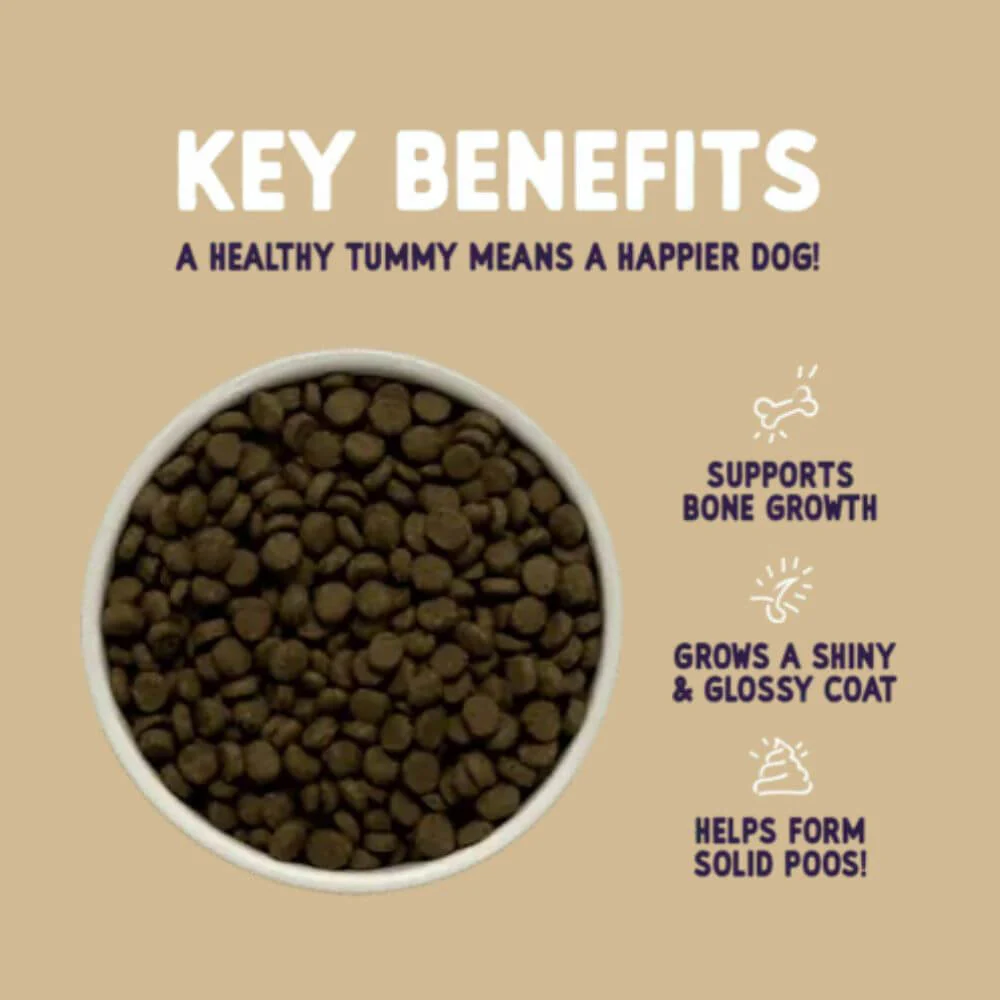 Burgess Sensitive Puppy Food Turkey & Rice 12.5kg - Image 4