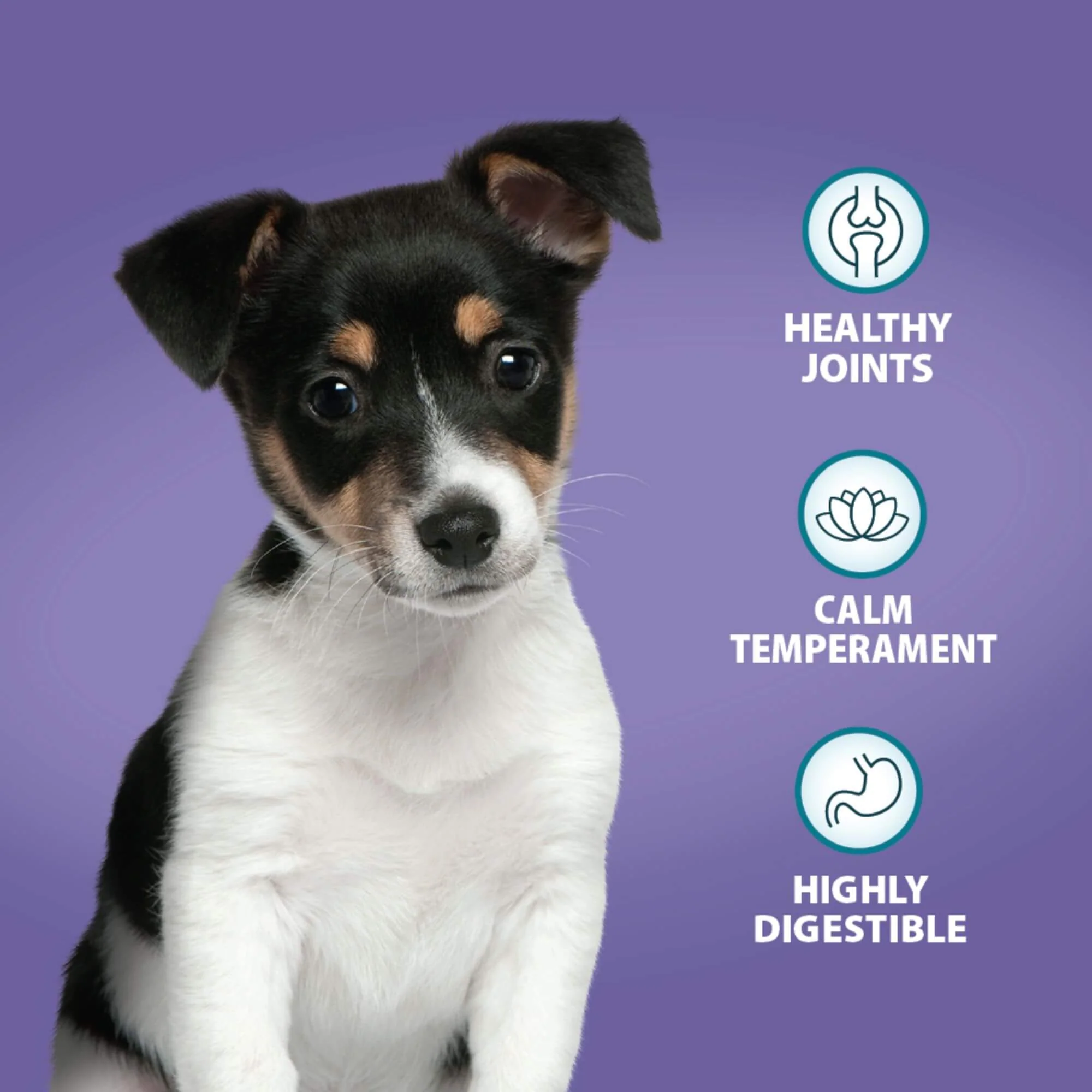 Burns Puppy Original Chicken & Rice 12kg - Image 2