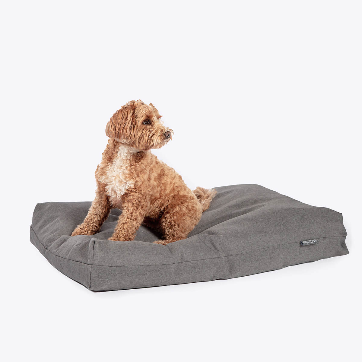 Danish Design Anti-Bacterial Deluxe Dog Duvet - Spare Cover - Image 3