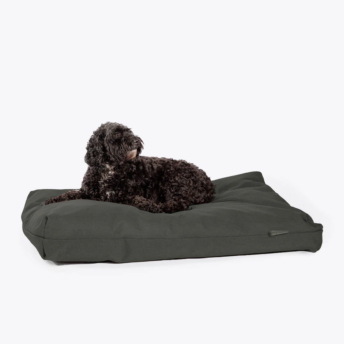 Danish Design Anti-Bacterial Deluxe Dog Duvet - Spare Cover - Image 7