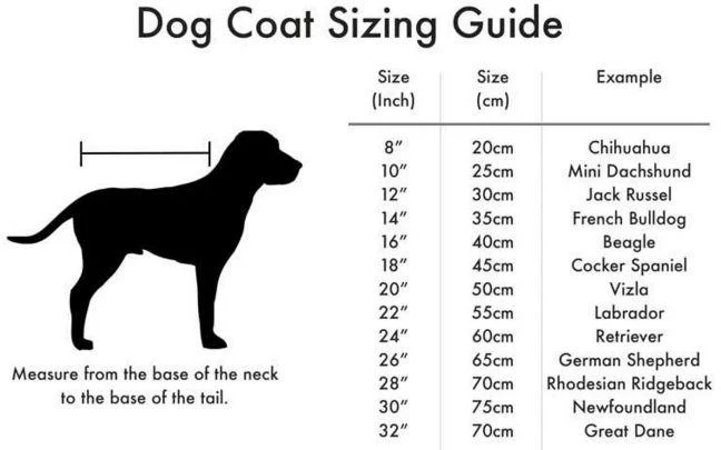 Danish Design Waggles Original Flying Jacket Dog Coat - Image 4