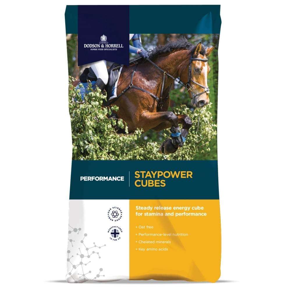 Dodson & Horrell Staypower Cubes 20kg