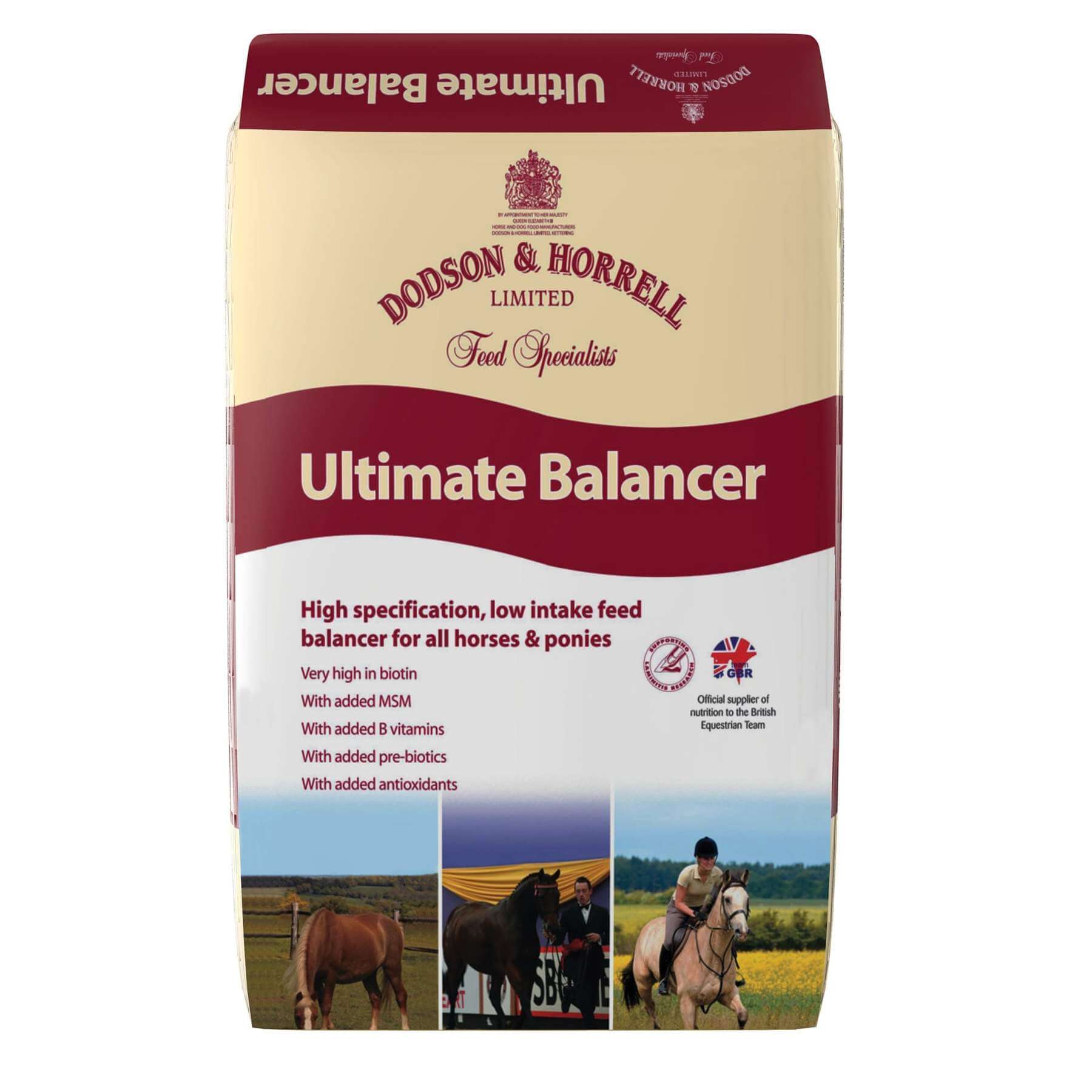 Dodson & Horrell Ultimate Balancer 20kg