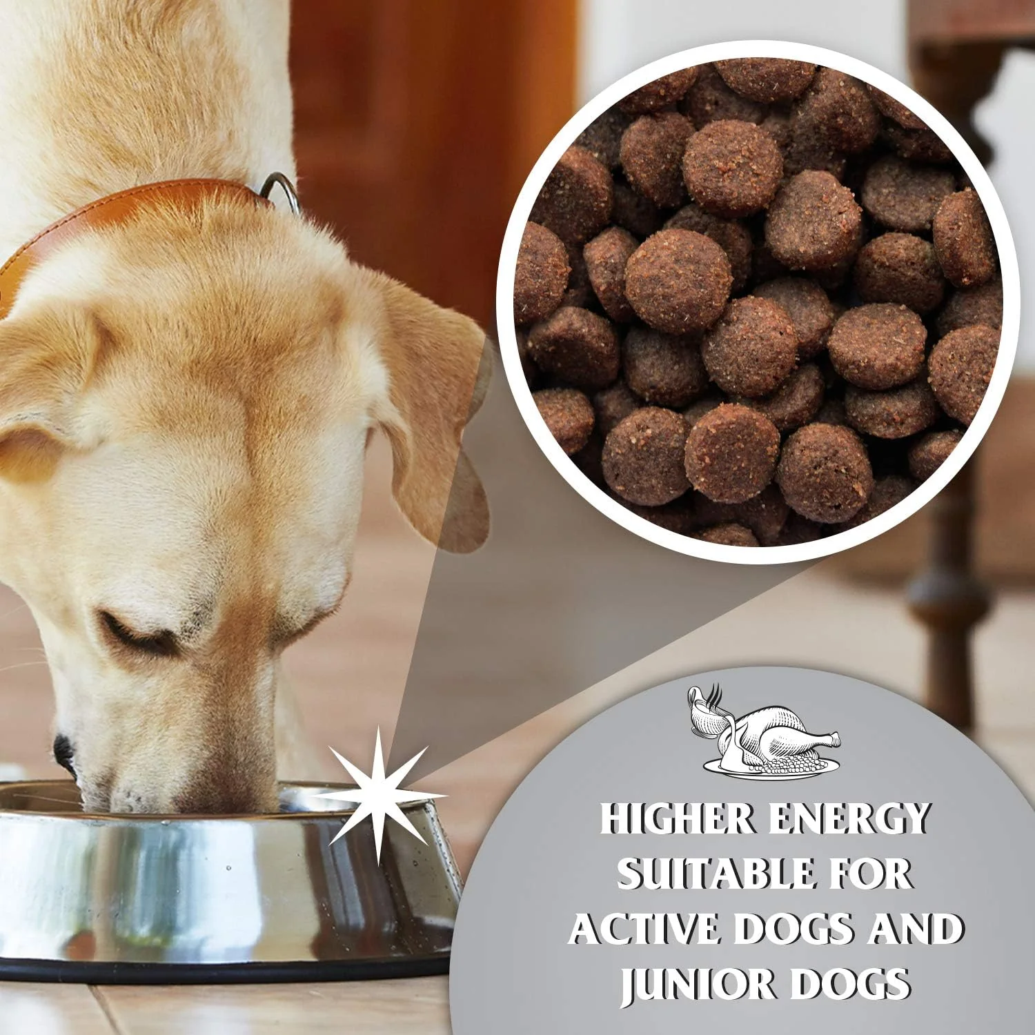 Dr John Titanium Dog Food - 15kg - Image 4
