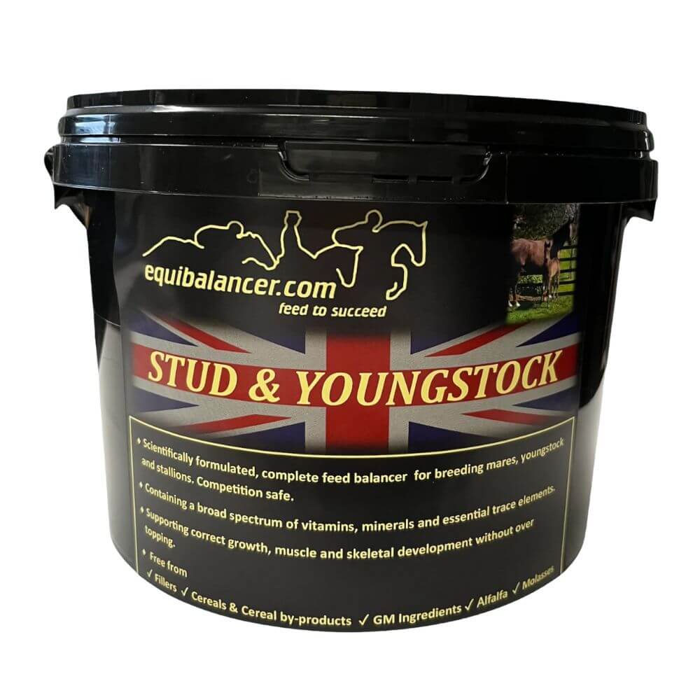 Equibalancer Biotin Free Stud And Youngstock Formula Balancer Feed