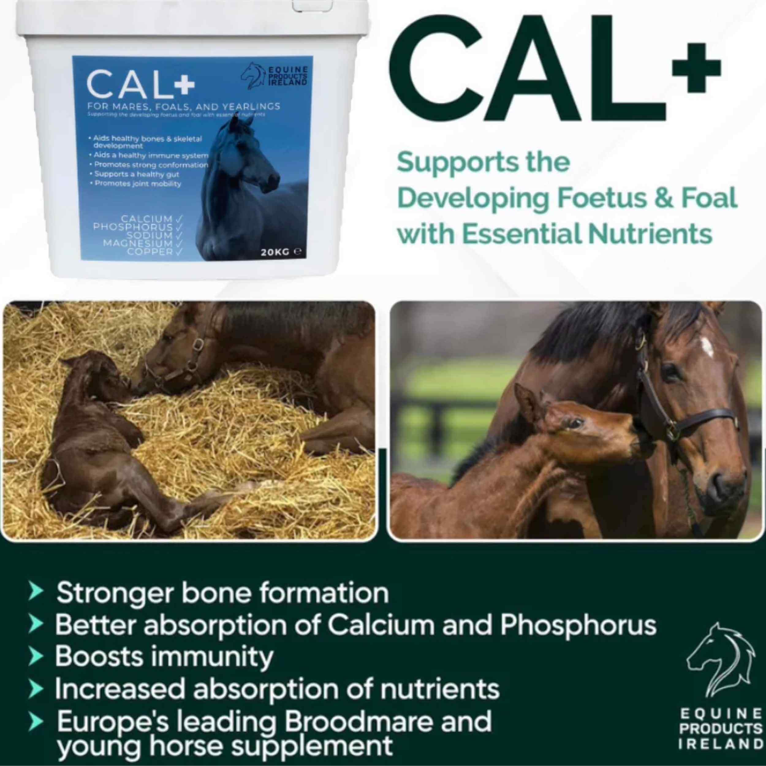 Equine Products Ireland Cal + Horse Supplement 4.5 kg - Image 3