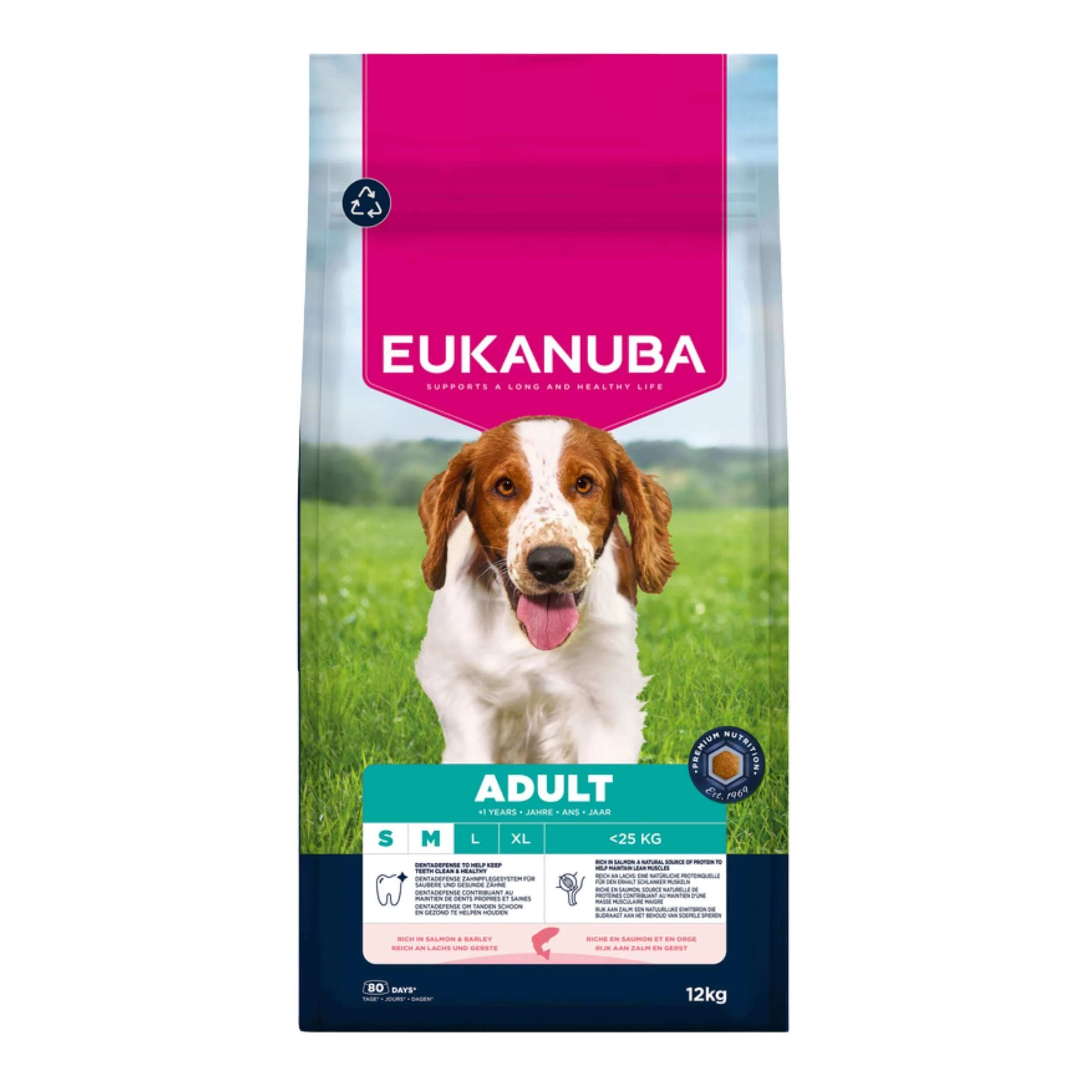 Dry Dog Food