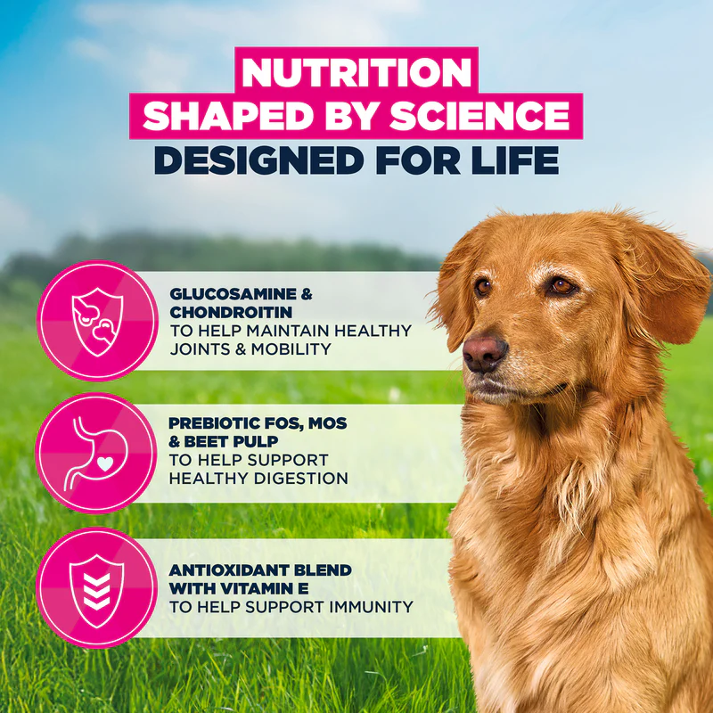 Eukanuba Senior Large Breed Dry Dog Food Lamb & Rice 12kg - Image 2