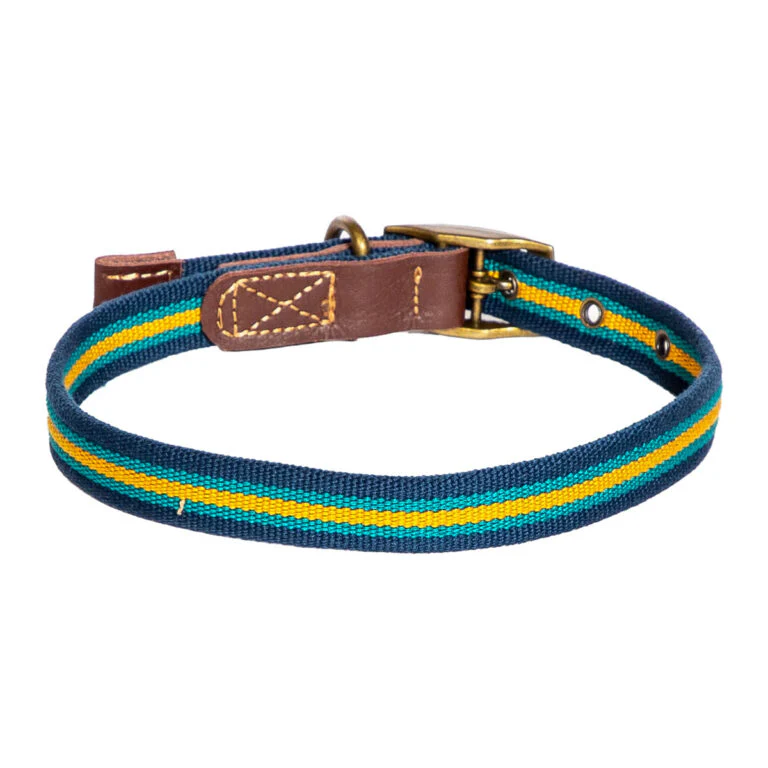 FatFace Bold Stripe Dog Collar & Lead Set - Image 2