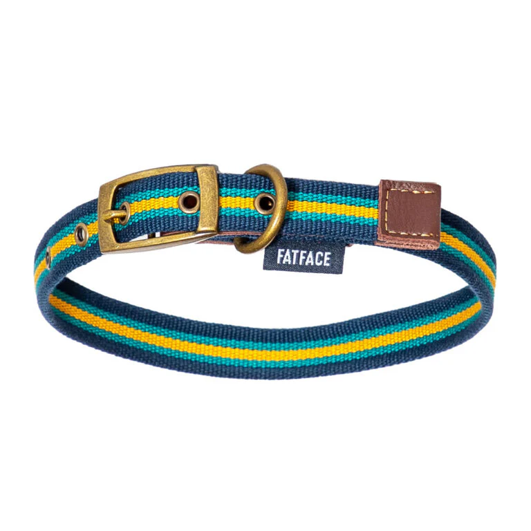 FatFace Bold Stripe Dog Collar & Lead Set - Image 3