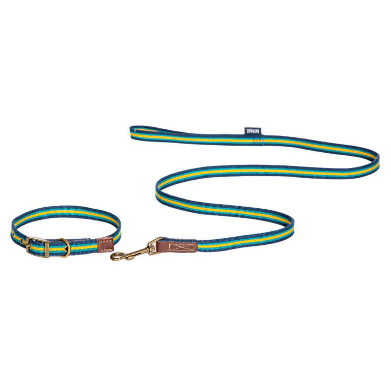 FatFace Bold Stripe Dog Collar & Lead Set - Image 5