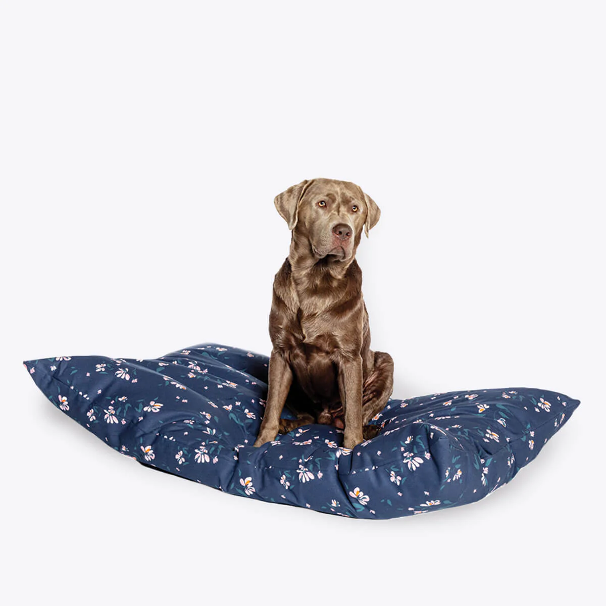 FatFace Brush Floral Deep Duvet Dog Bed - Image 5