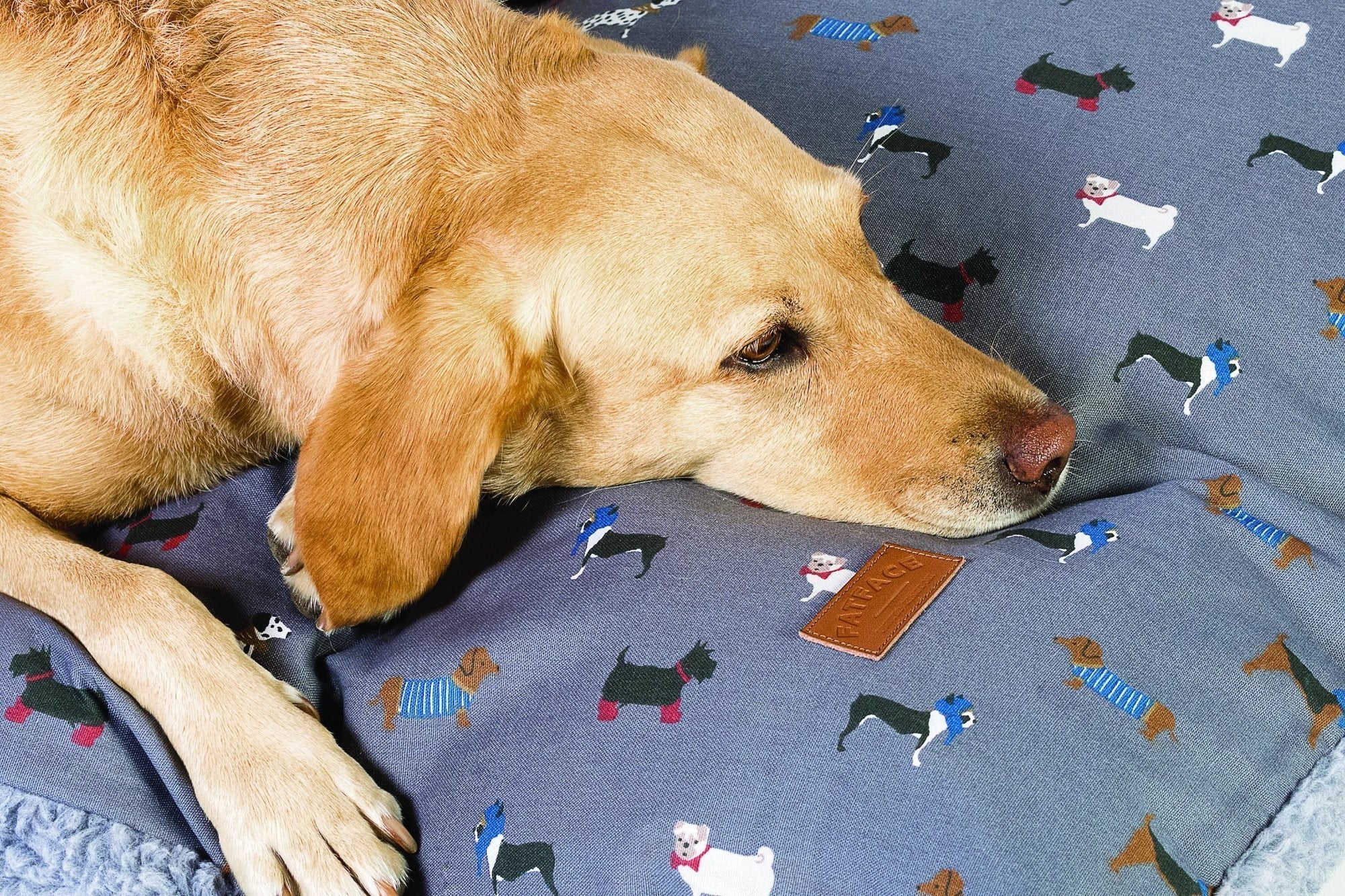 FatFace Marching Dogs Deep Duvet Dog Bed - Spare Cover - Image 4