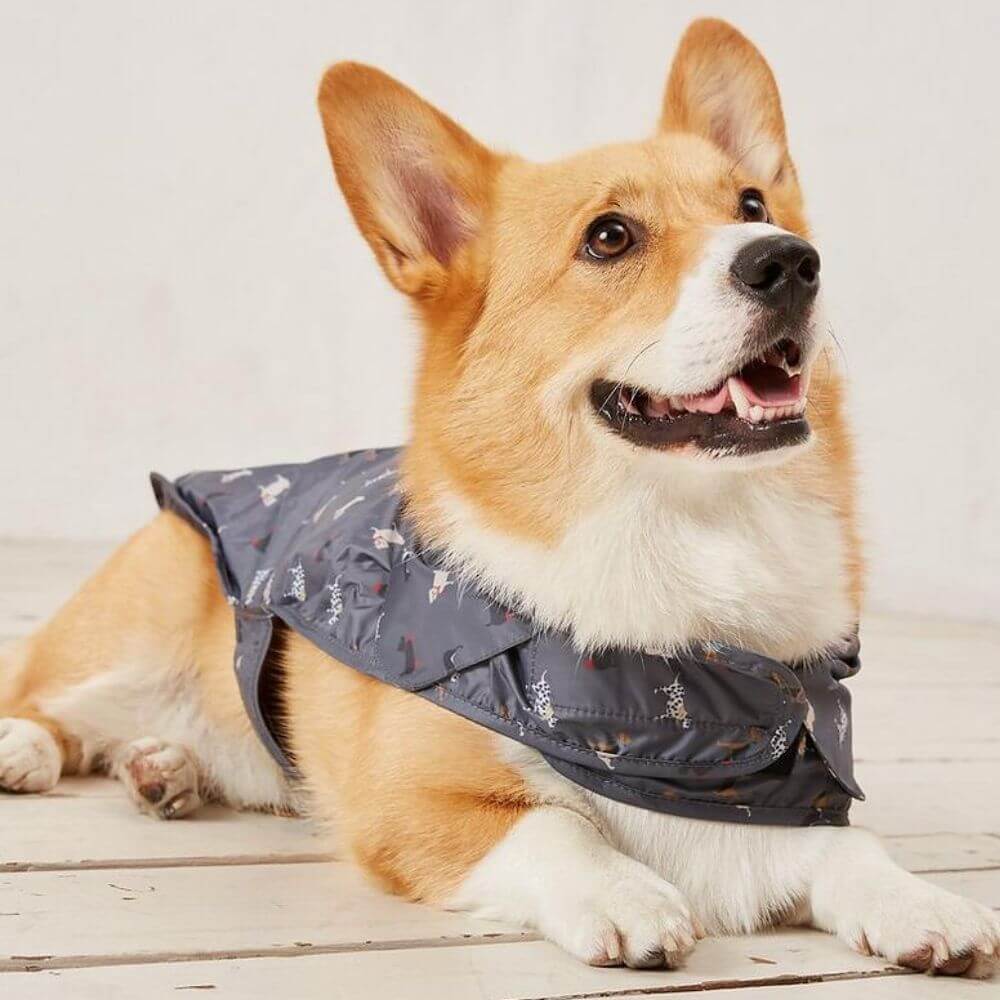 FatFace Marching Dogs Raincoat Dog Coat - Image 5