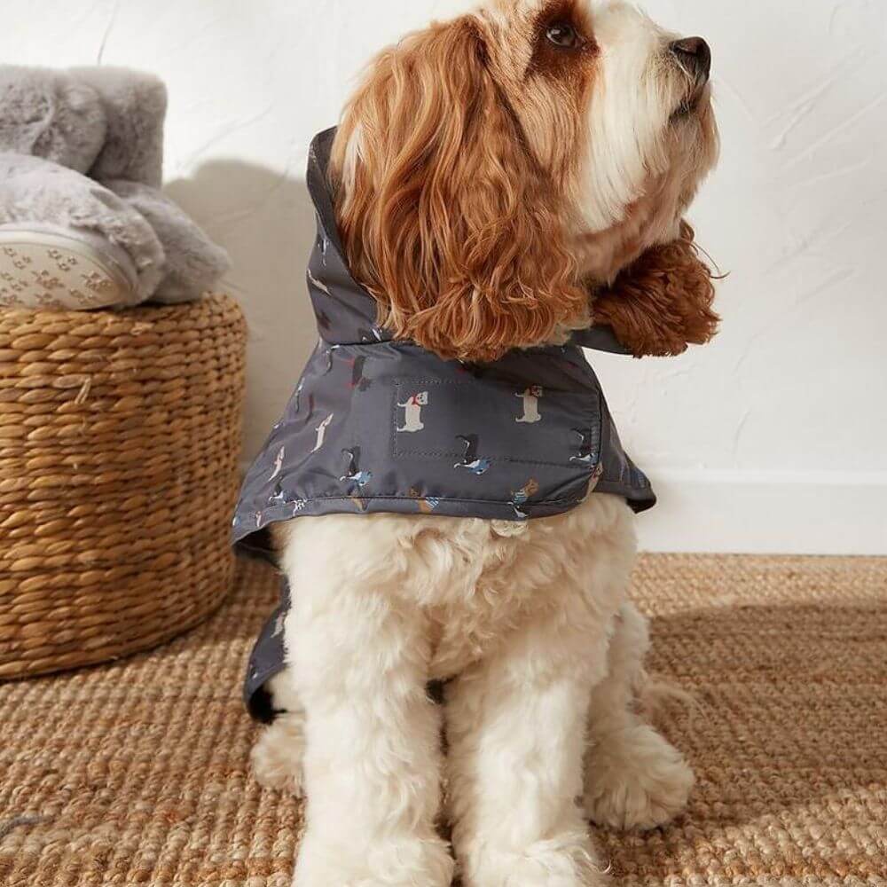 FatFace Marching Dogs Raincoat Dog Coat - Image 8