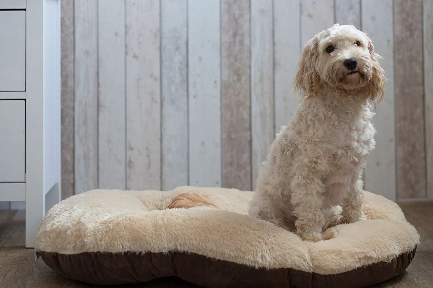 Gor Pets Nordic Oval Cushion Dog Bed - Image 5