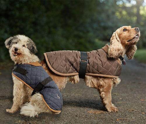 Gor Pets Worcester Quilted Dog Coat - Image 2