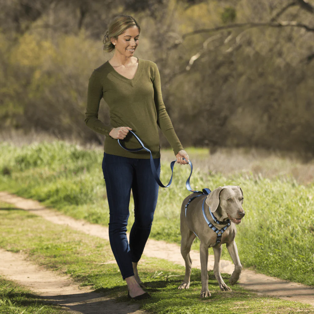 HALTI Premium Reflective 3M Design Dog Lead - Image 6