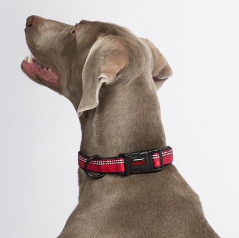 HALTI Premium Reflective Dog Collar - Image 6