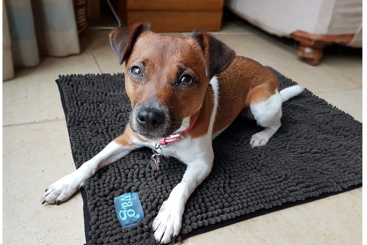 Henry Wag Microfibre Noodle Pet Mat - Image 3