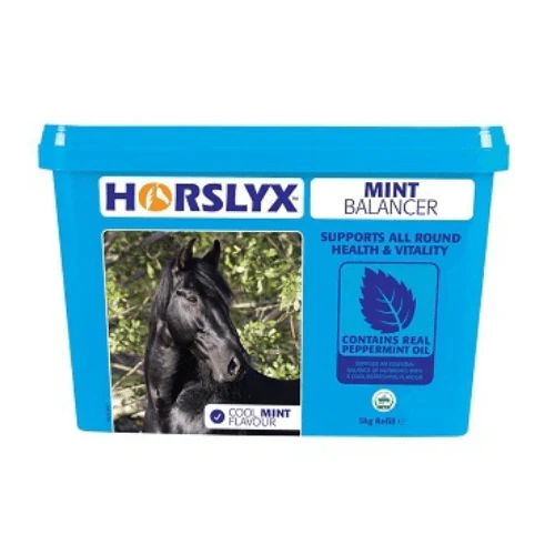 Horslyx Mint Balancer Horse Lick - Image 2