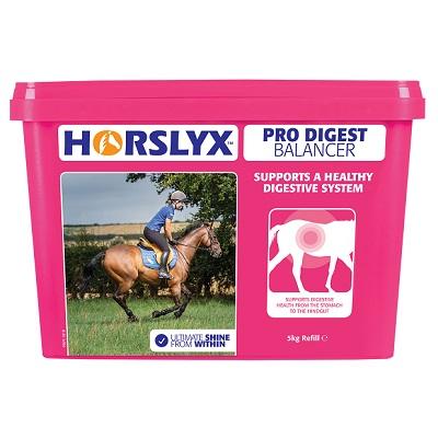 Horslyx Pro Digest Balancer Horse Lick