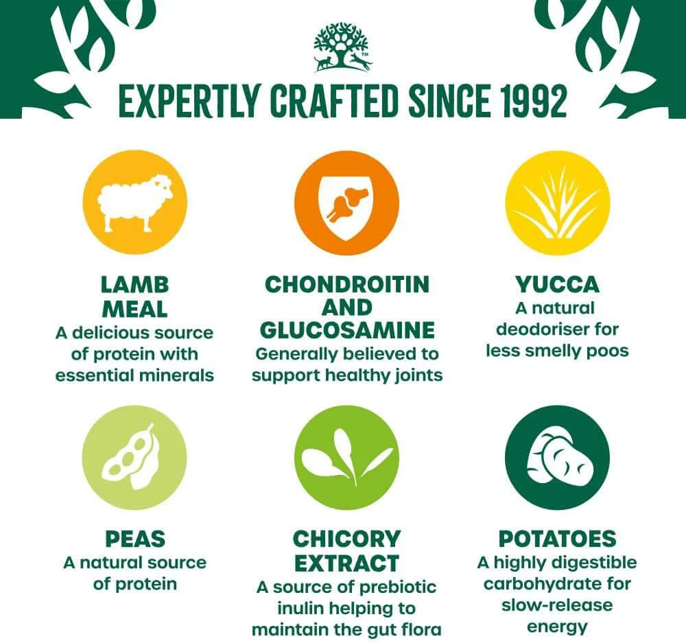 James Wellbeloved Senior Grain Free Lamb & Vegetable 10kg - Image 7