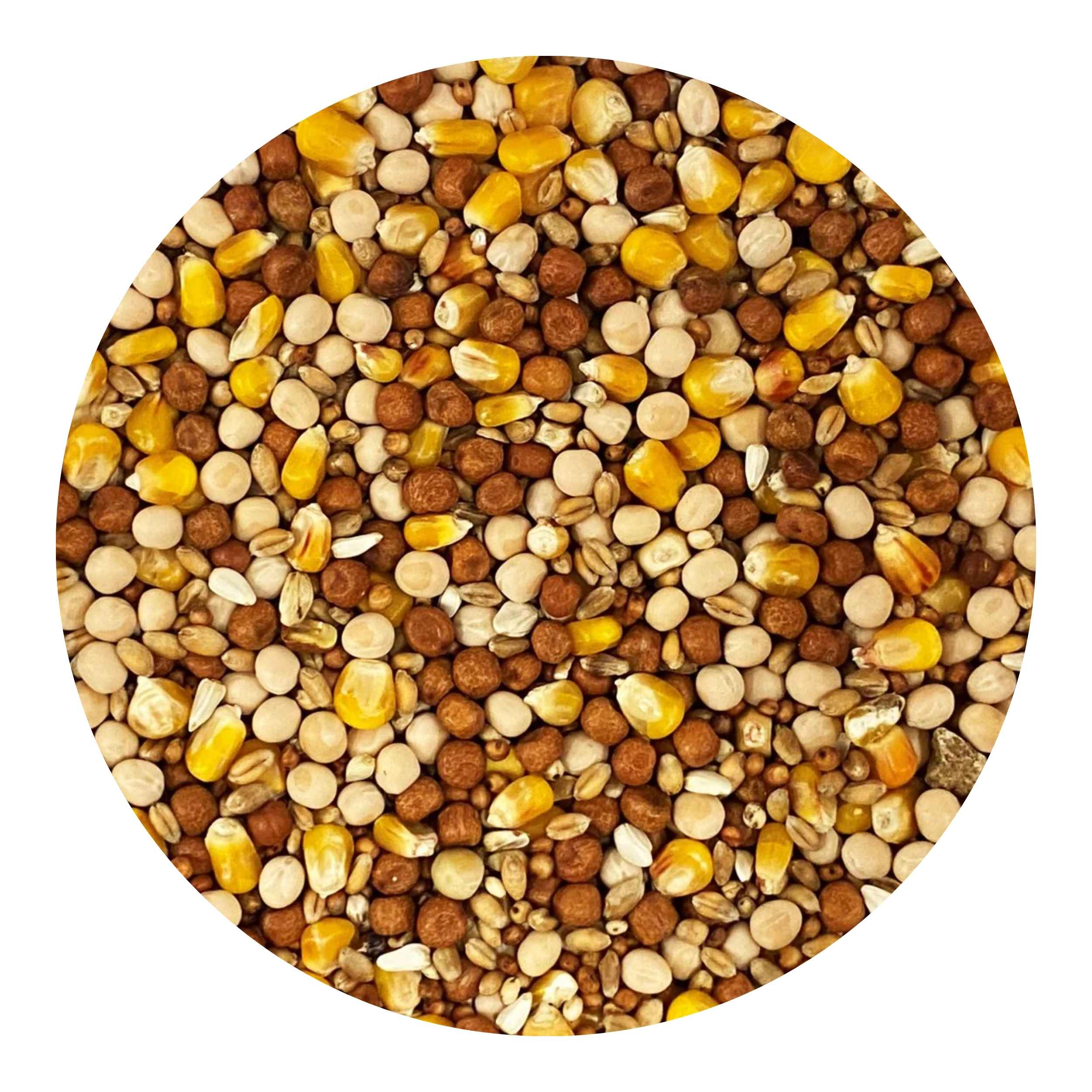 Johnston & Jeff Four Seasons Pigeon Corn 20kg - Image 2