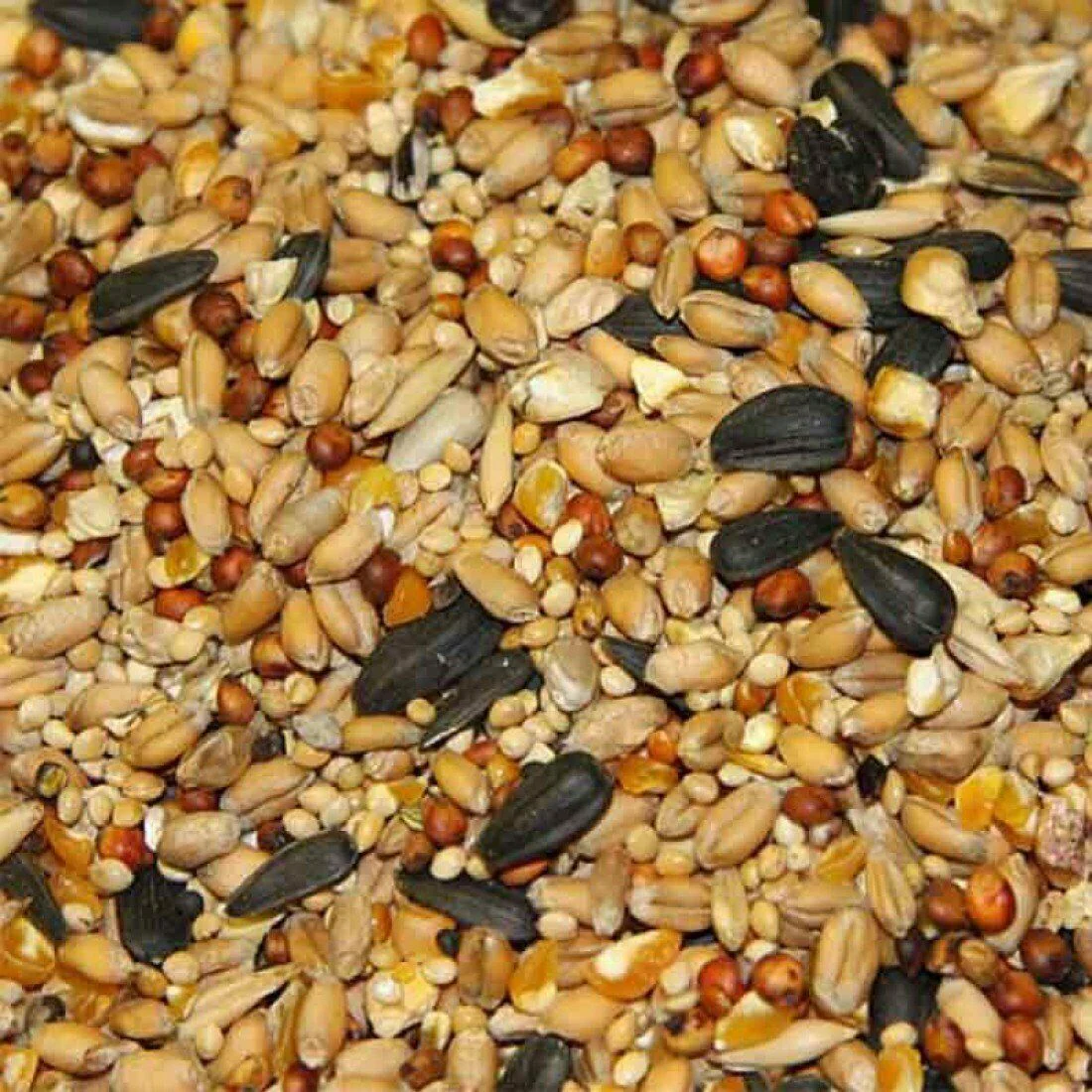 Johnston & Jeff Wild Bird Food 20kg - Image 2