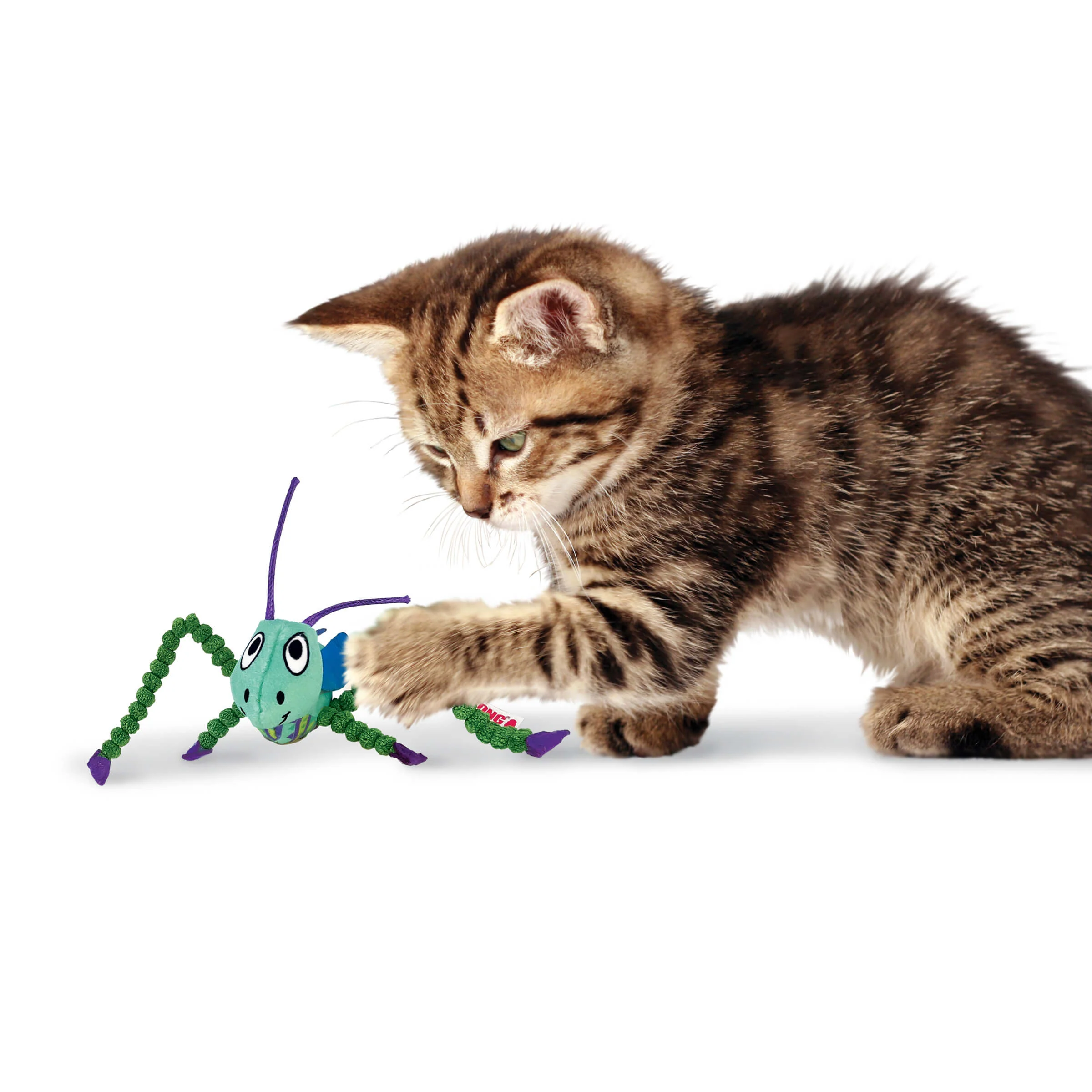 KONG Crackles Grasshopper - Image 3