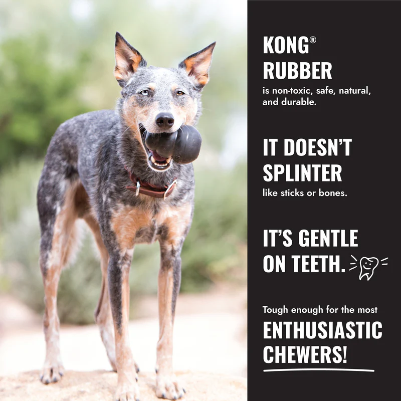 KONG Extreme Flyer - Large - Image 5