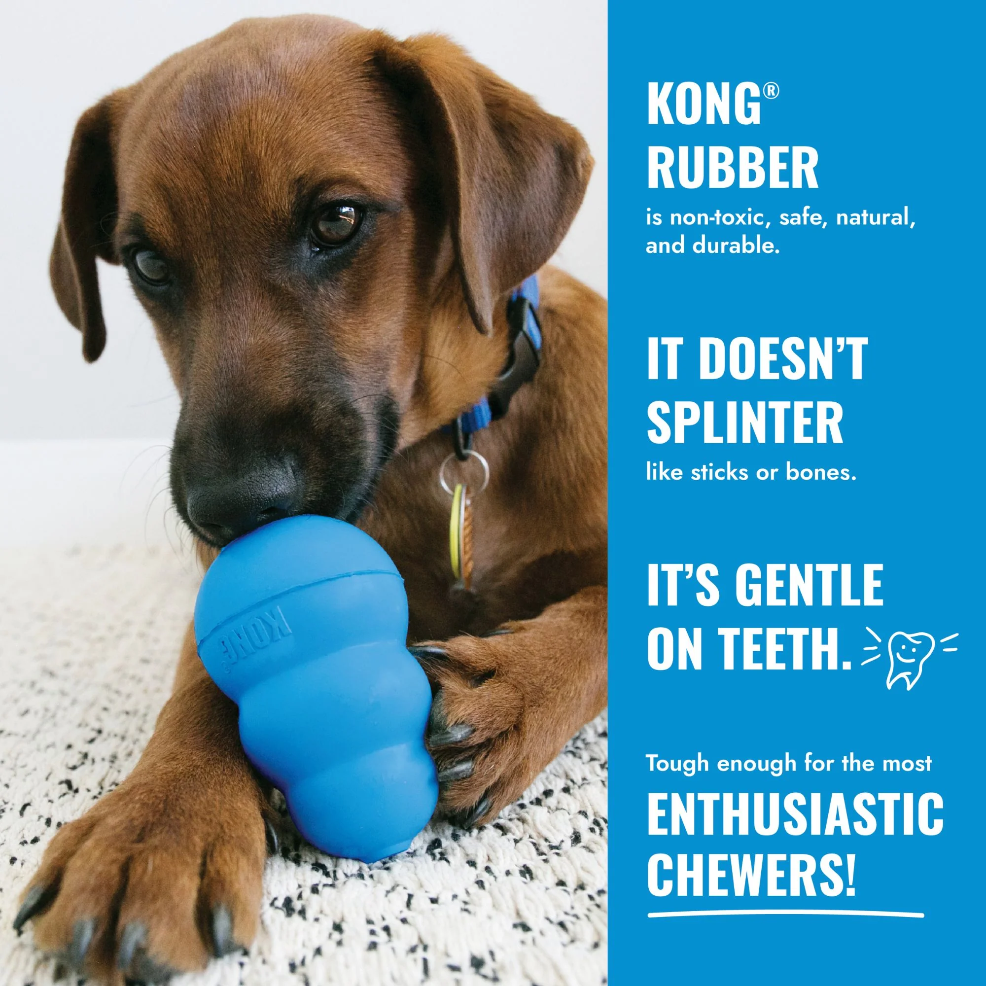 KONG Puppy - Image 7