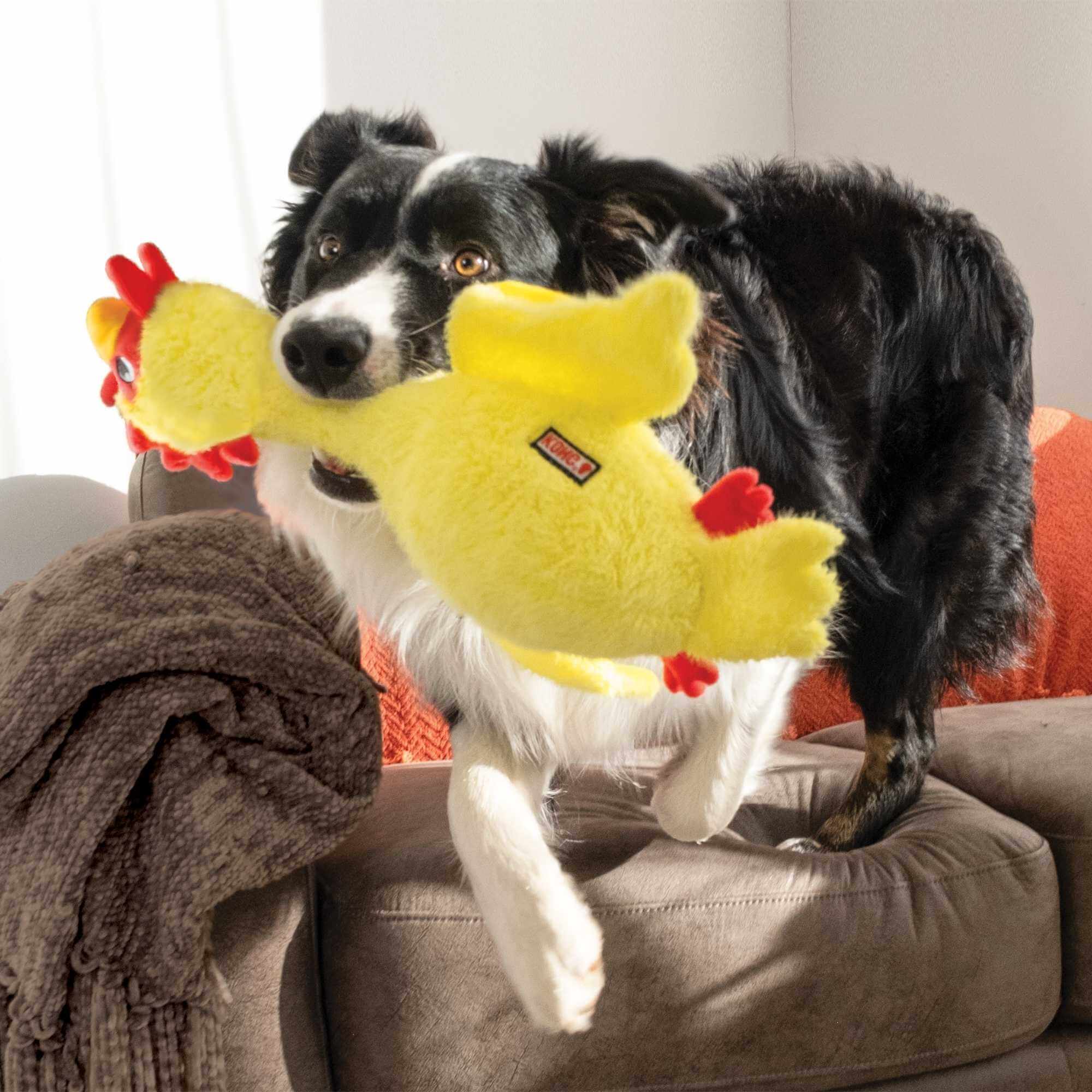 KONG Scruffs Chicken - Image 3