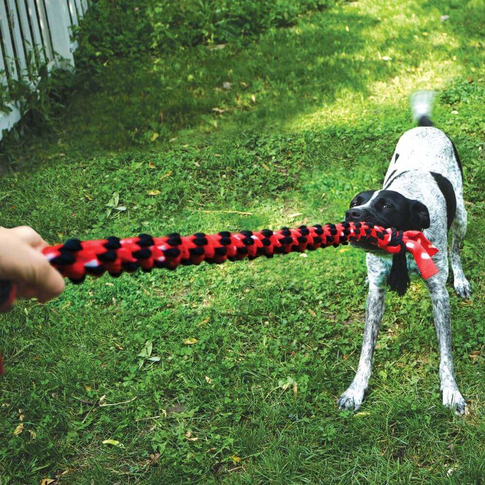 KONG Signature Rope Dual Knot - Image 3