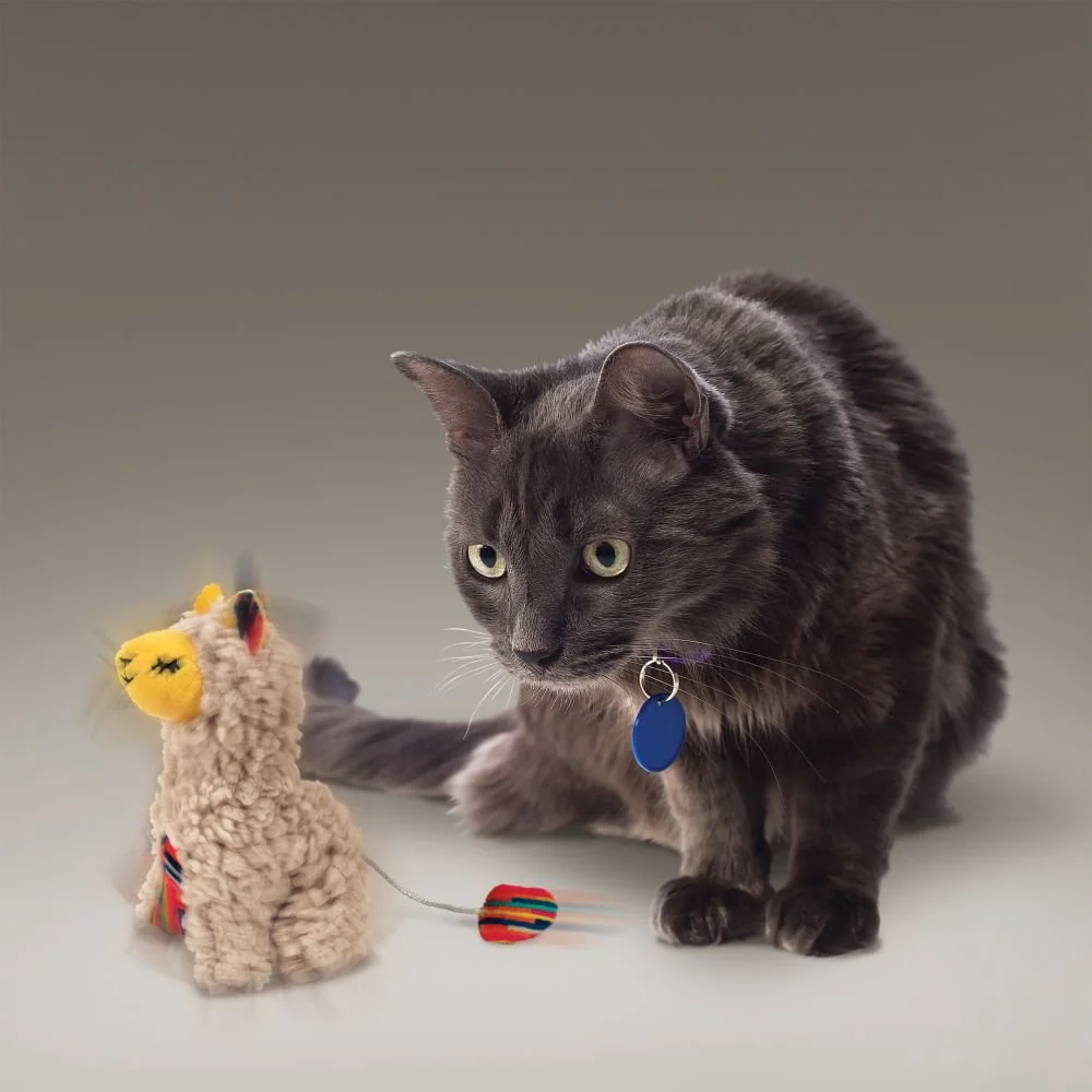 KONG Softies Buzzy Llama - Image 3