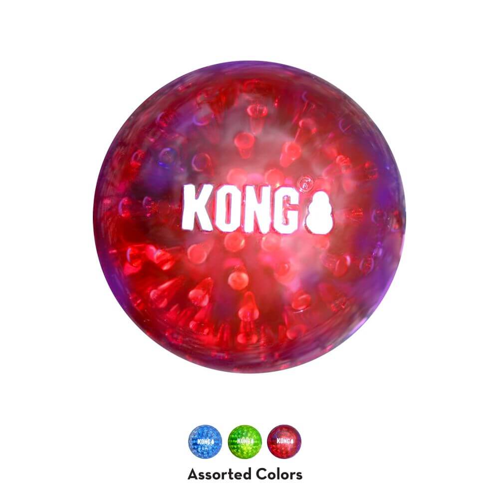 KONG Squeezz Geodz 2 Pack - Image 3