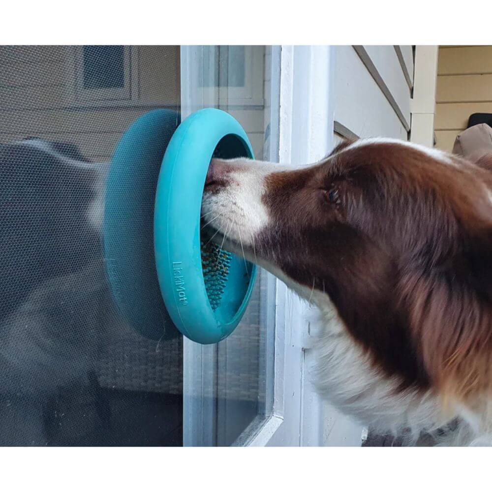LickiMat UFO Bordem Buster for Dogs - Image 5